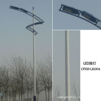【辽宁/吉林/黑龙江40W工厂厂区专用 太阳能LED路灯 LED防爆路灯】价格,厂家,图片,道路灯,沧州市财富光电新型节能建材-