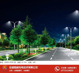 合肥led路灯 安徽皓越公司 太阳能led路灯