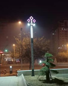 山东凯创光电景观型led路灯点亮临淄区新政务中心