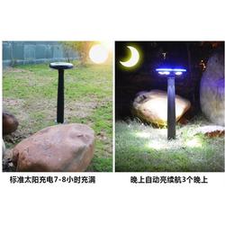 小型led草坪灯 小型led草坪灯厂 大昌路灯