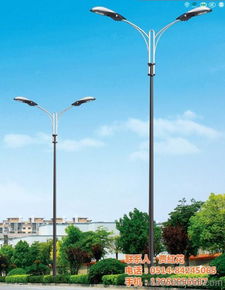 led路灯 风光互补led路灯 国富路灯 优质商家